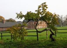 Herbststimmung-23-10-09 050.jpg